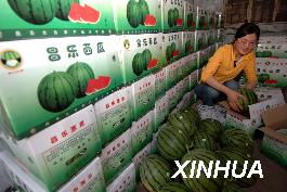 上海每年农副产品销售规模900亿元